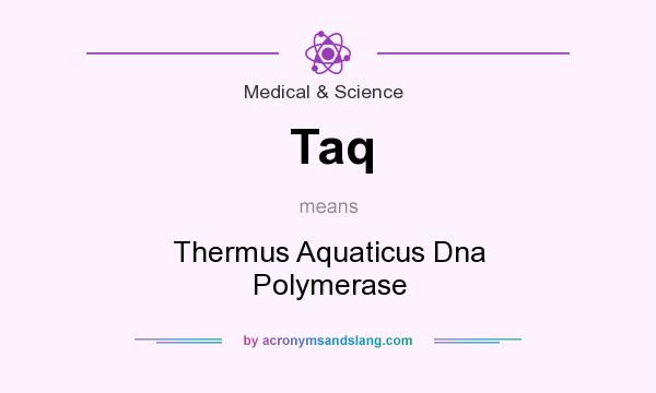 What does Taq mean? It stands for Thermus Aquaticus Dna Polymerase