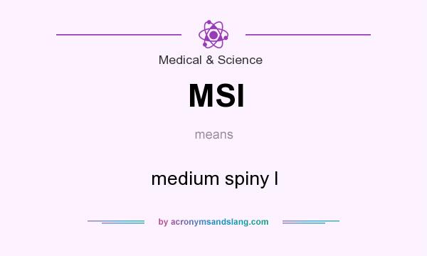 What does MSI mean? It stands for medium spiny I