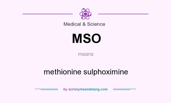 What does MSO mean? It stands for methionine sulphoximine