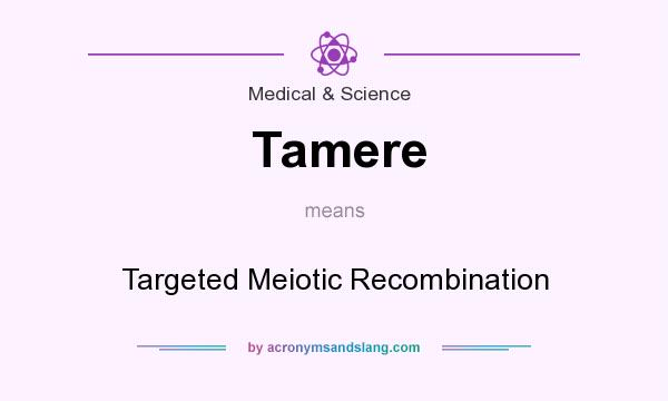 What does Tamere mean? It stands for Targeted Meiotic Recombination