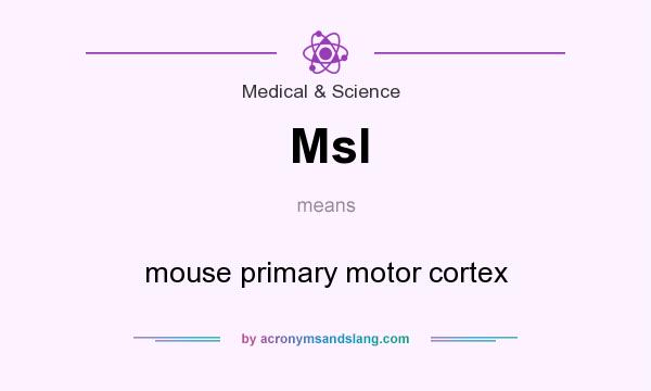 What does MsI mean? It stands for mouse primary motor cortex