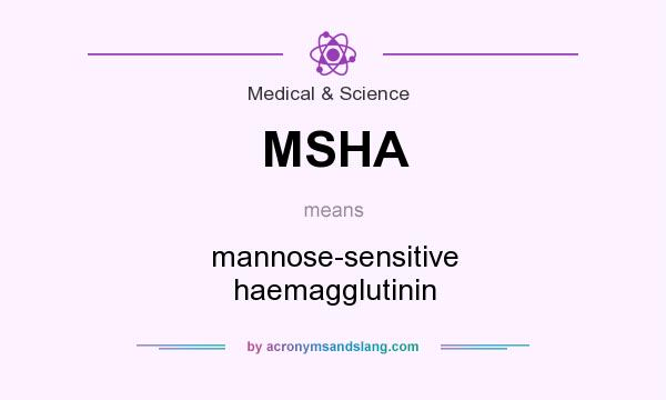 What does MSHA mean? It stands for mannose-sensitive haemagglutinin