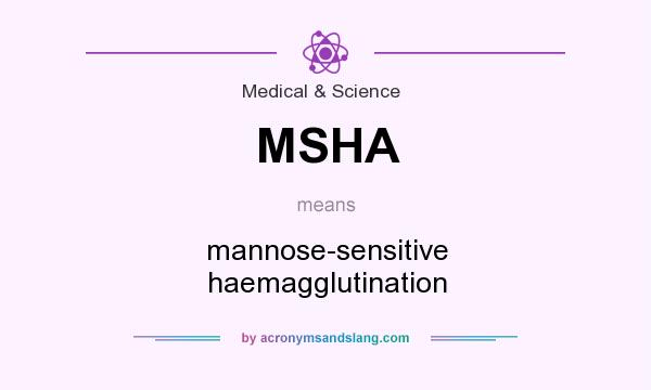 What does MSHA mean? It stands for mannose-sensitive haemagglutination