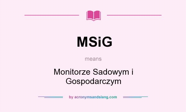 What does MSiG mean? It stands for Monitorze Sadowym i Gospodarczym