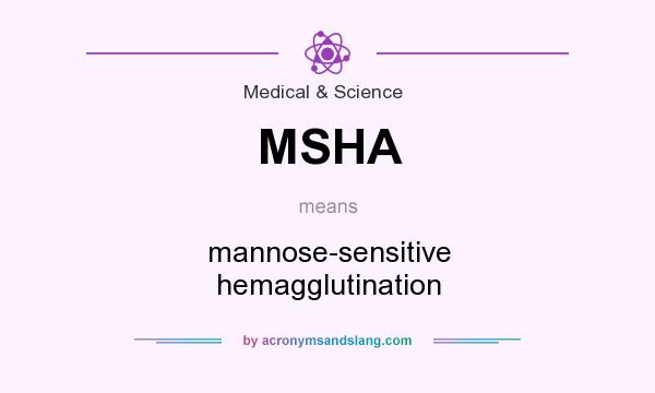What does MSHA mean? It stands for mannose-sensitive hemagglutination