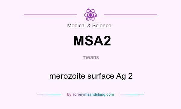 What does MSA2 mean? It stands for merozoite surface Ag 2