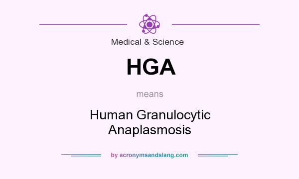 What does HGA mean? It stands for Human Granulocytic Anaplasmosis