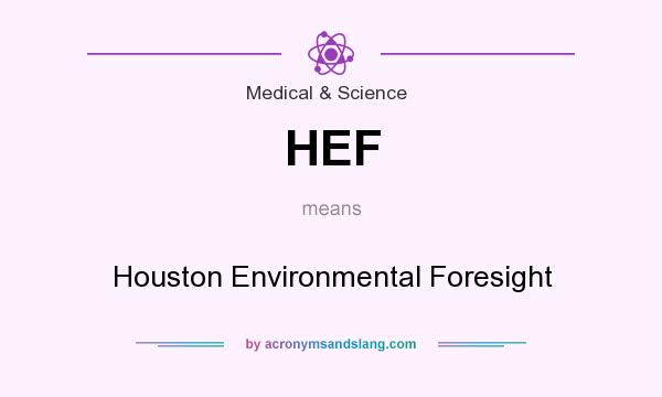 What does HEF mean? It stands for Houston Environmental Foresight