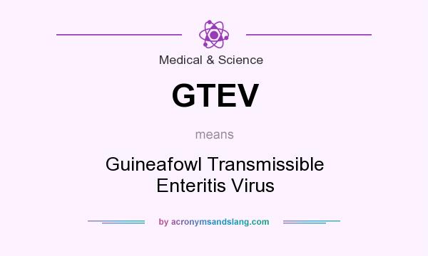 What does GTEV mean? It stands for Guineafowl Transmissible Enteritis Virus