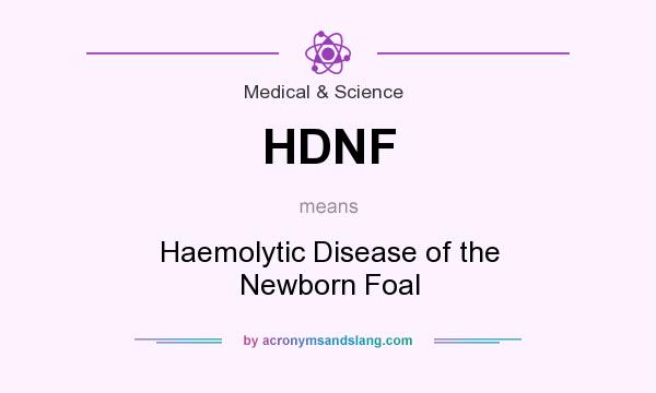 What does HDNF mean? It stands for Haemolytic Disease of the Newborn Foal