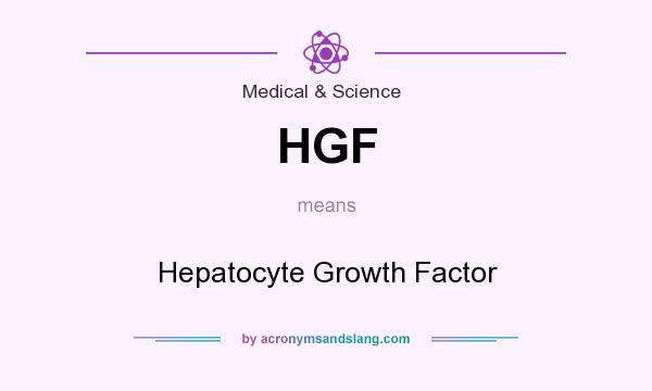 What does HGF mean? It stands for Hepatocyte Growth Factor