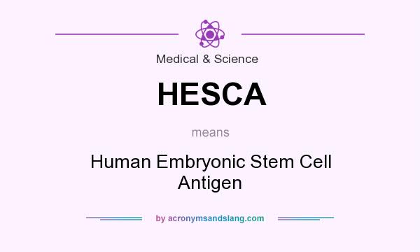 What does HESCA mean? It stands for Human Embryonic Stem Cell Antigen