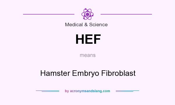 What does HEF mean? It stands for Hamster Embryo Fibroblast