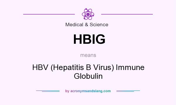 What does HBIG mean? It stands for HBV (Hepatitis B Virus) Immune Globulin