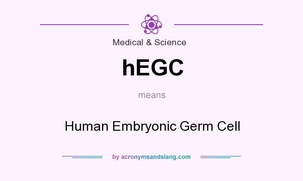 What does hEGC mean? It stands for Human Embryonic Germ Cell