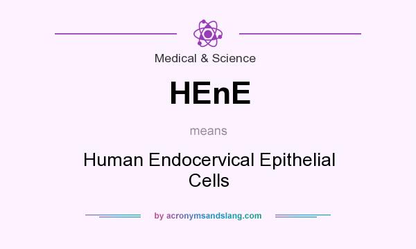 What does HEnE mean? It stands for Human Endocervical Epithelial Cells