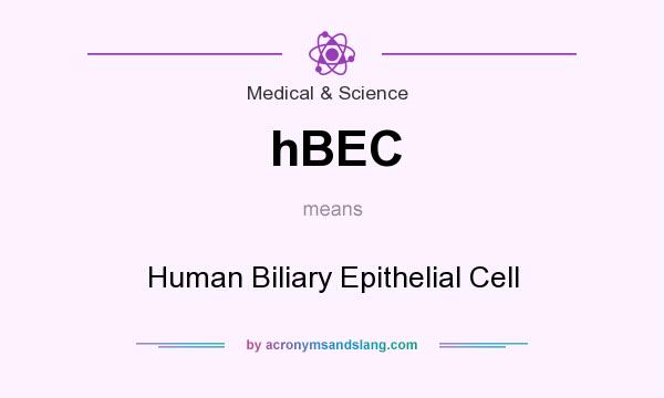 What does hBEC mean? It stands for Human Biliary Epithelial Cell