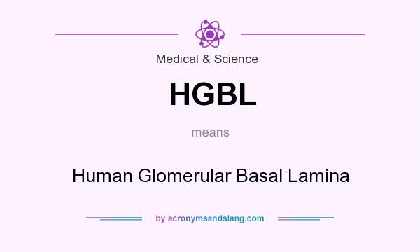 What does HGBL mean? It stands for Human Glomerular Basal Lamina