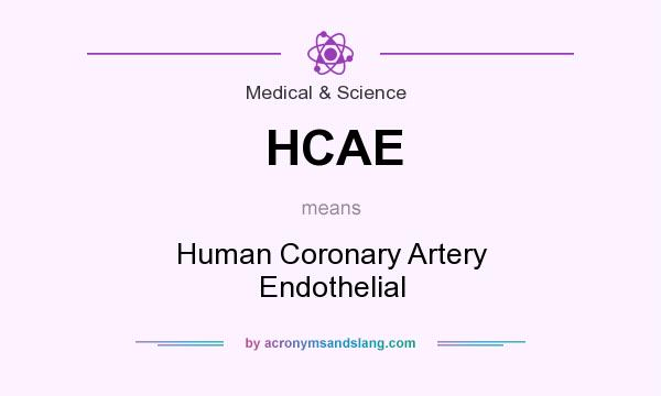 What does HCAE mean? It stands for Human Coronary Artery Endothelial