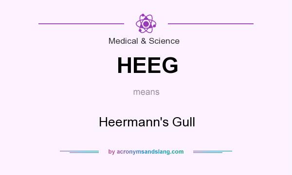 What does HEEG mean? It stands for Heermann`s Gull
