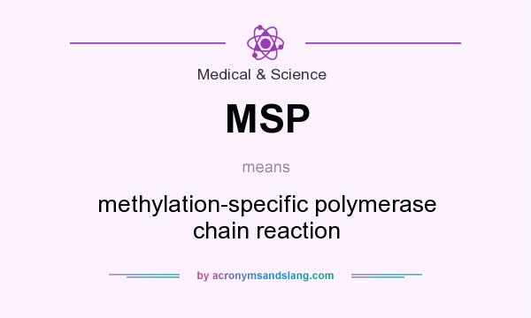 What does MSP mean? It stands for methylation-specific polymerase chain reaction