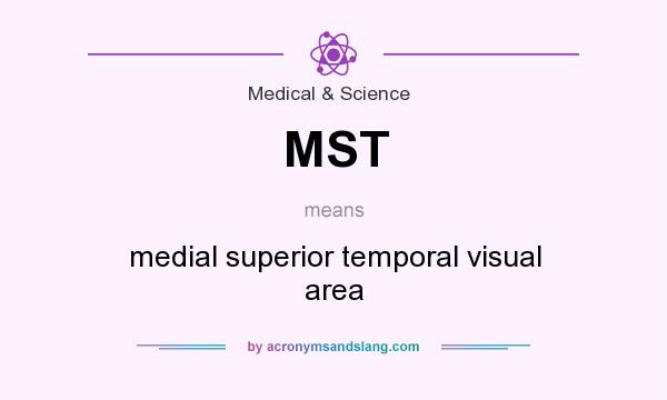 What does MST mean? It stands for medial superior temporal visual area