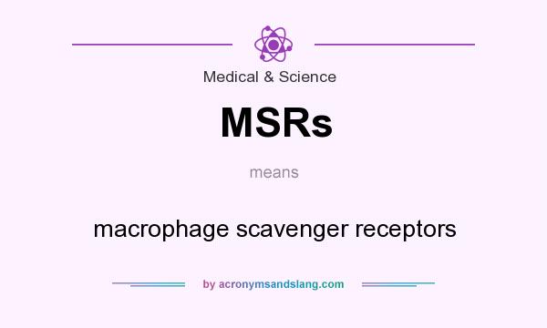 What does MSRs mean? It stands for macrophage scavenger receptors