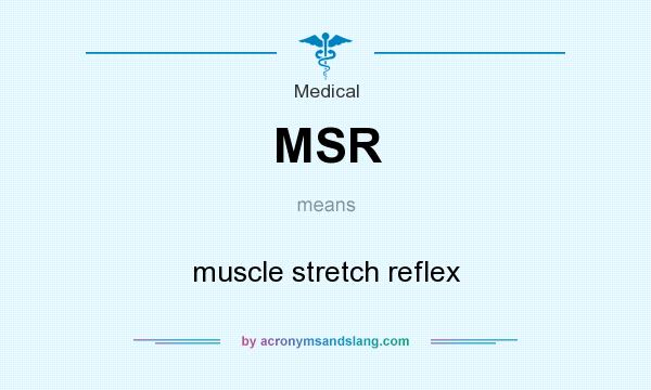 What does MSR mean? It stands for muscle stretch reflex