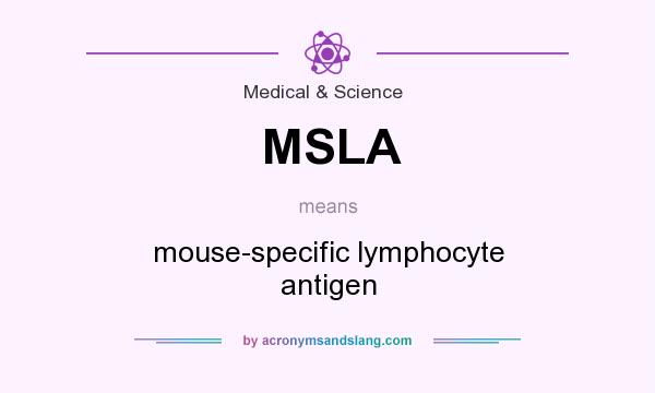 What does MSLA mean? It stands for mouse-specific lymphocyte antigen