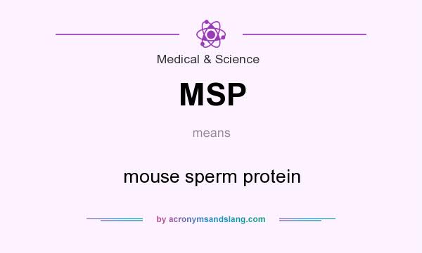 What does MSP mean? It stands for mouse sperm protein