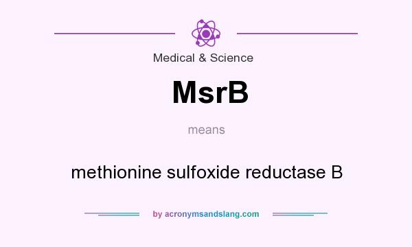 What does MsrB mean? It stands for methionine sulfoxide reductase B