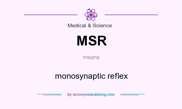What does MSR mean? It stands for monosynaptic reflex