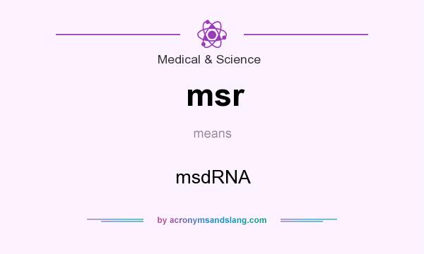 What does msr mean? It stands for msdRNA