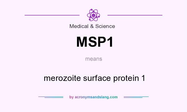 What does MSP1 mean? It stands for merozoite surface protein 1