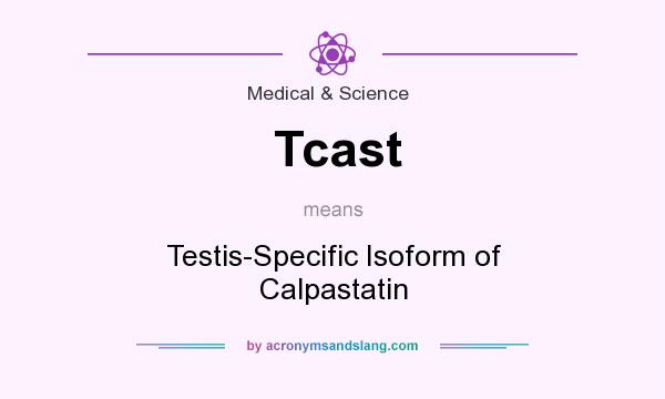 What does Tcast mean? It stands for Testis-Specific Isoform of Calpastatin