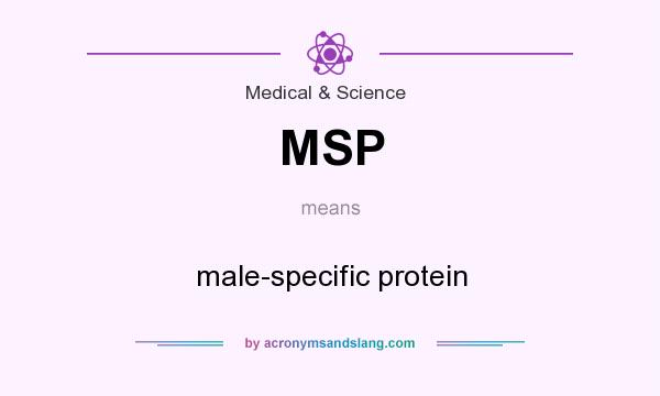What does MSP mean? It stands for male-specific protein
