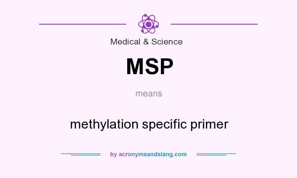 What does MSP mean? It stands for methylation specific primer