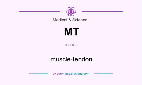 What does MT mean? It stands for muscle-tendon