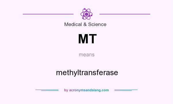 What does MT mean? It stands for methyltransferase