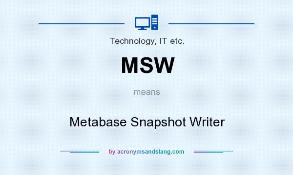 What does MSW mean? It stands for Metabase Snapshot Writer