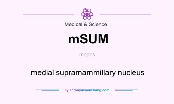 What does mSUM mean? It stands for medial supramammillary nucleus