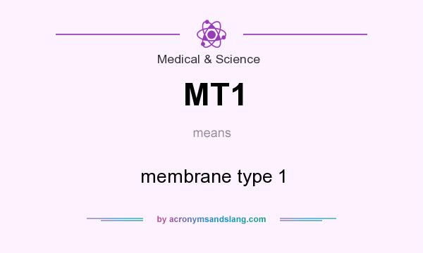 What does MT1 mean? It stands for membrane type 1