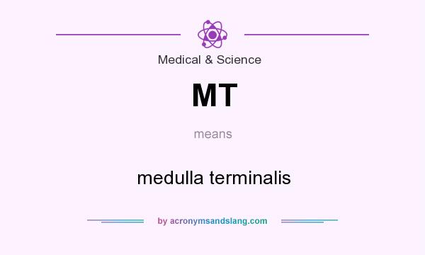 What does MT mean? It stands for medulla terminalis