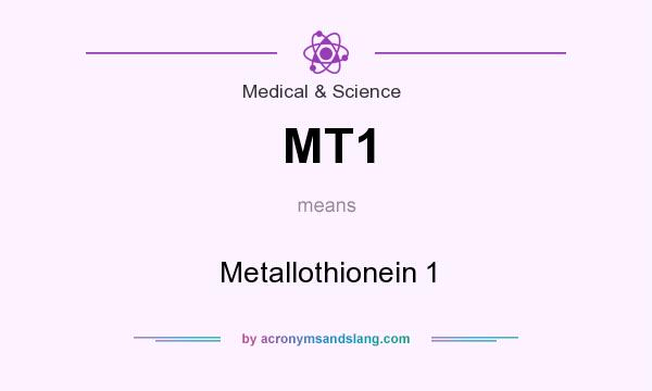 What does MT1 mean? It stands for Metallothionein 1