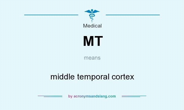 What does MT mean? It stands for middle temporal cortex