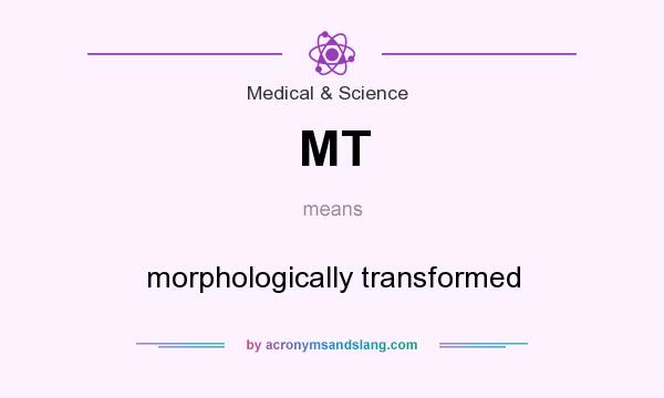 What does MT mean? It stands for morphologically transformed