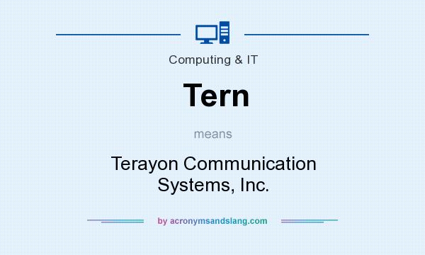 What does Tern mean? It stands for Terayon Communication Systems, Inc.