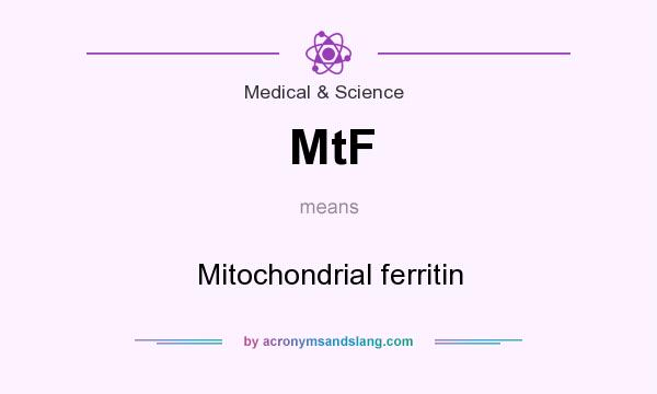 What does MtF mean? It stands for Mitochondrial ferritin