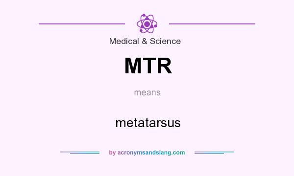 What does MTR mean? It stands for metatarsus