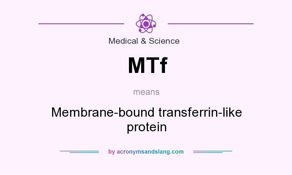 What does MTf mean? It stands for Membrane-bound transferrin-like protein